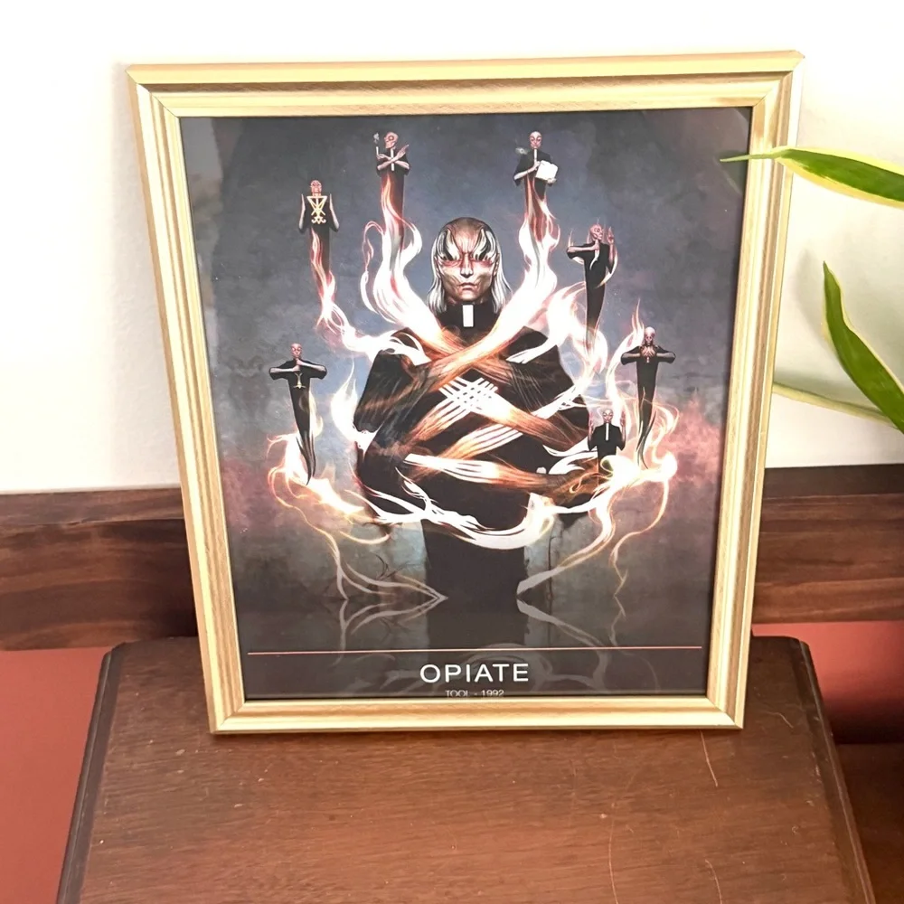 Tool Opiate Music Band Art 1992 Canvas Print Gold Framed Wall Hanging Art Metal